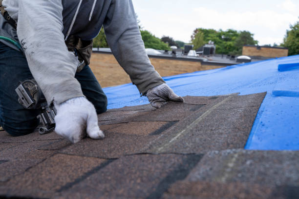 Best Emergency Roof Repair  in Scenic, AZ